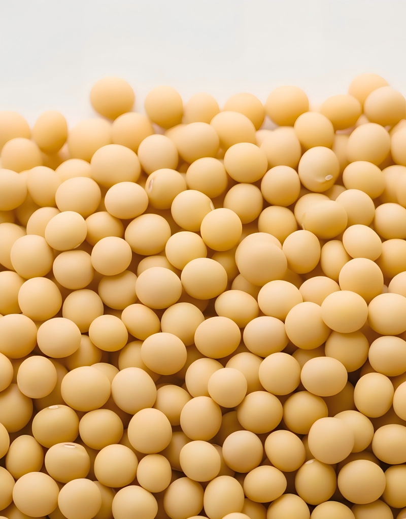 大豆背景